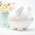 Personalized & Custom  Piggy Banks