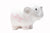 Personalized White Elephant Piggy Bank personalized with name 