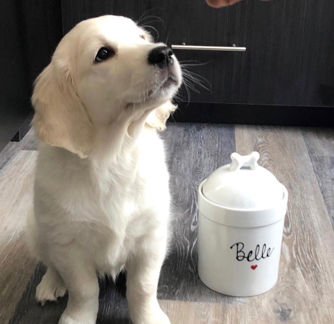 Personalized Pet Treat Jar, Small Customized with Dogs Name 