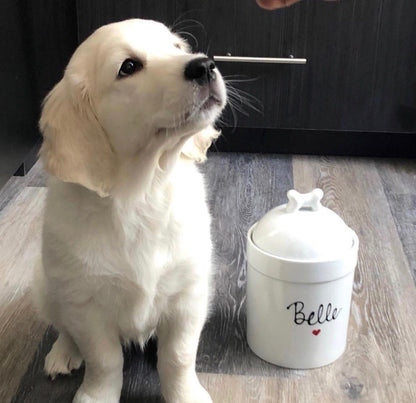 Personalized Pet Treat Jar, Small Customized with Dogs Name 